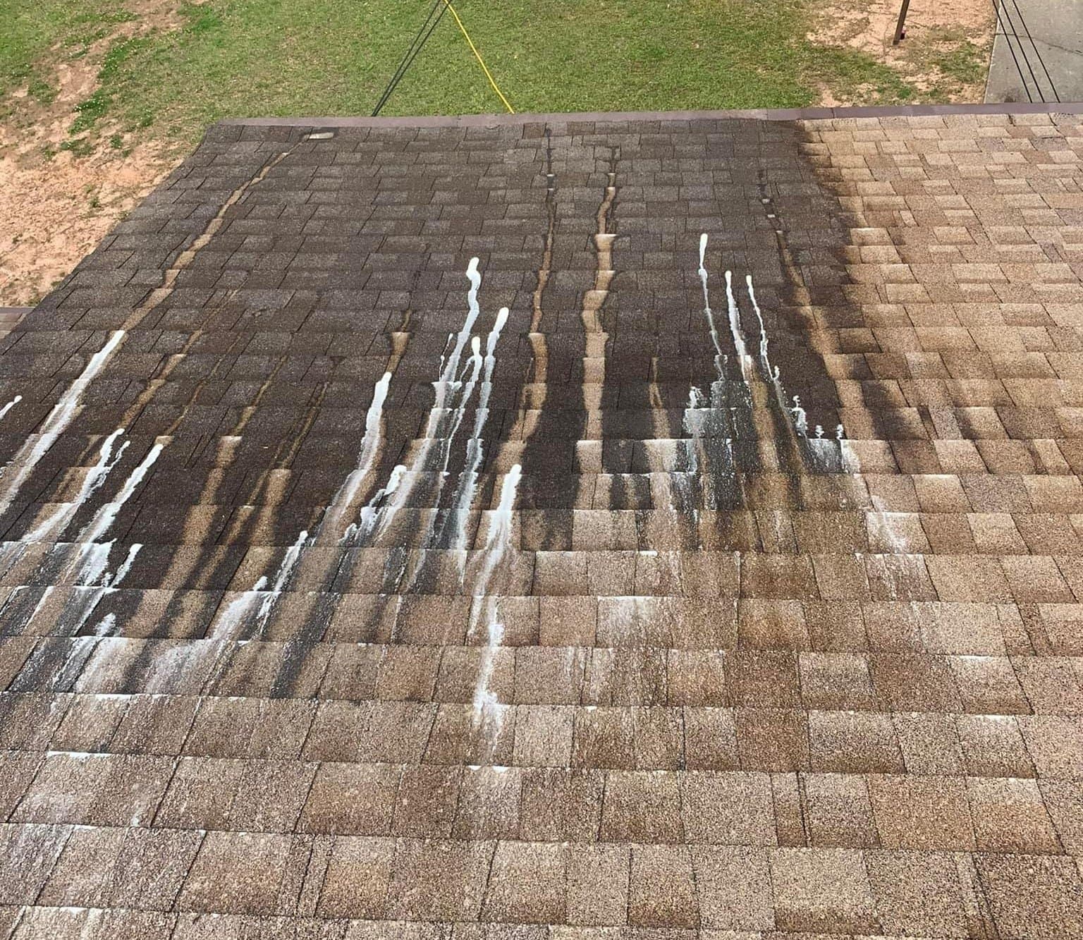 Shingle roof soft wash with algae streaks visible