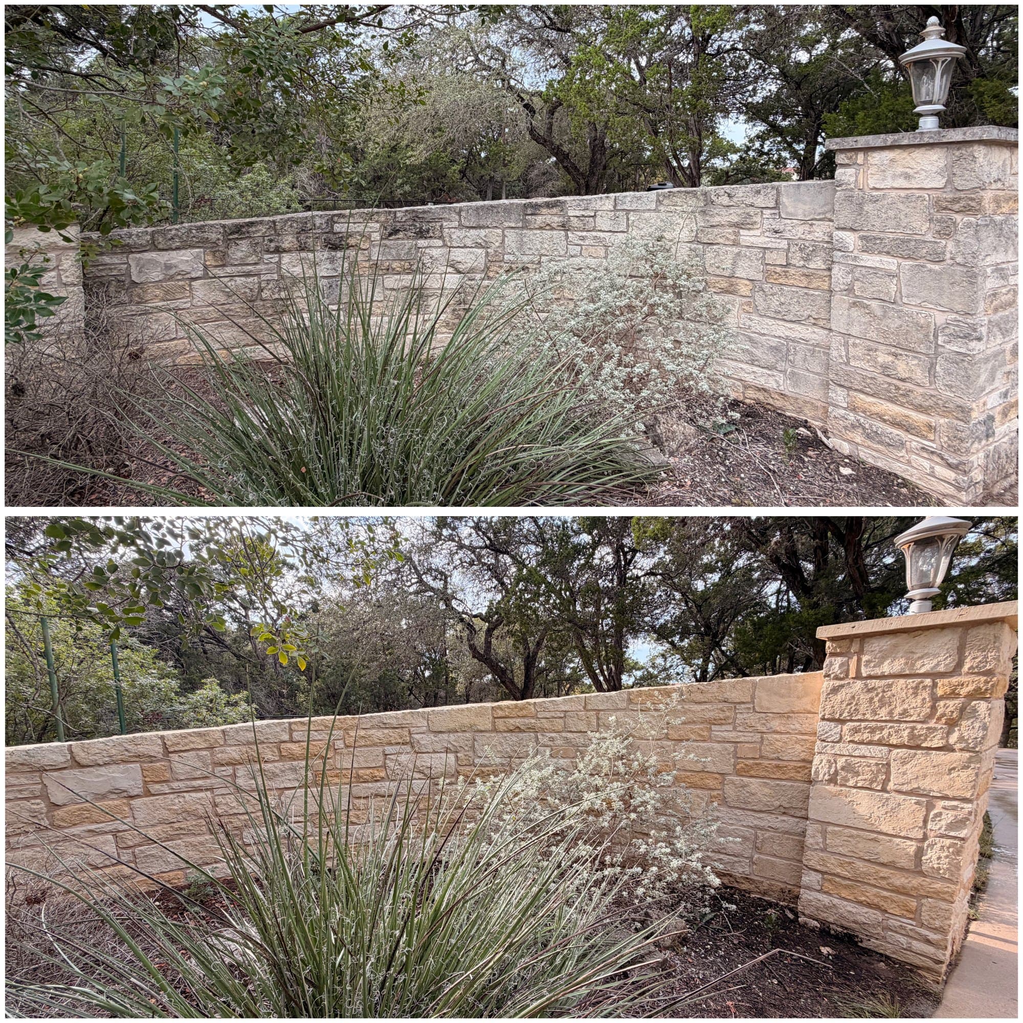 Limestone garden wall cleaning